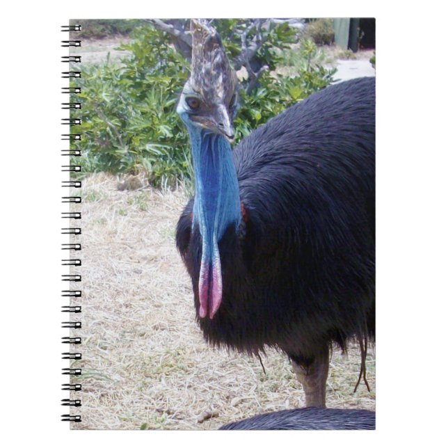 Carnet Big Blue Cassowary Bird, (Devant)
