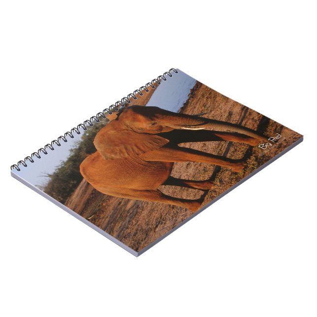 Carnet Big Red (Côté gauche)