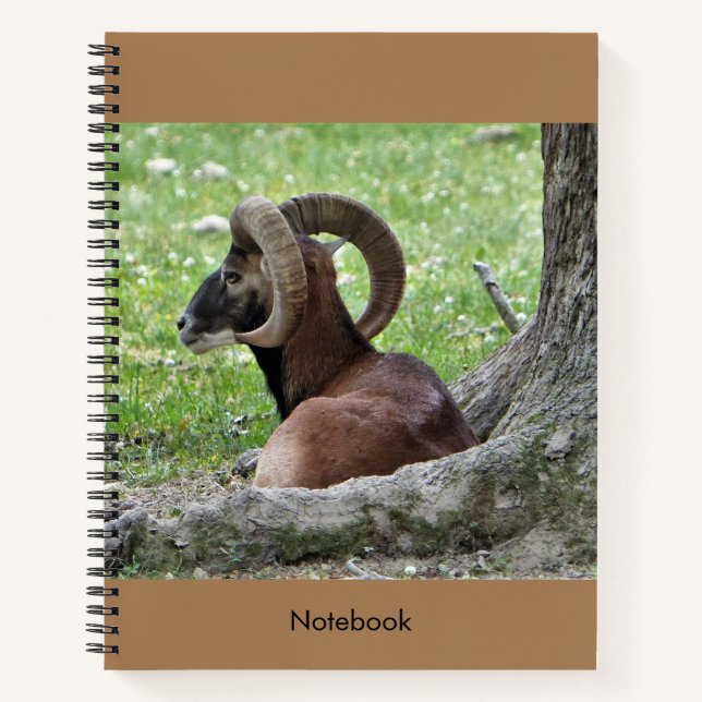 Carnet Bighorn Ram (Devant)