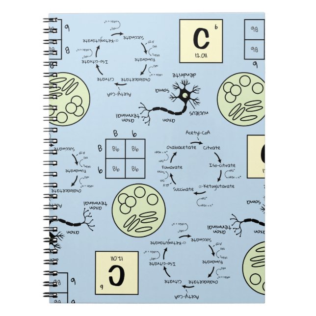 Carnet Biologie Science Enseignant Cellule Génétique Neur (Devant)