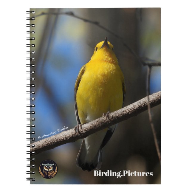 Carnet Birding.Carnet Photos (Devant)
