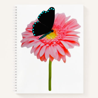 Carnet Black Butterfly Spiral Notebook