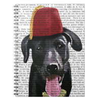 Black Labrador Avec Fès
