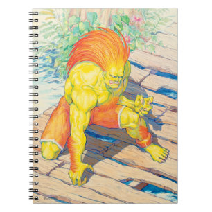 Carnet Blanka sur le pont 2
