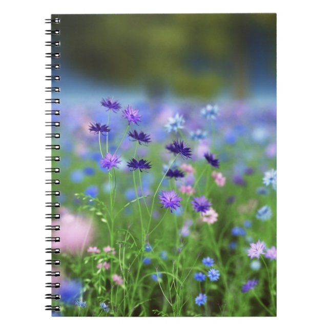 Carnet bleu Cornflower (Devant)