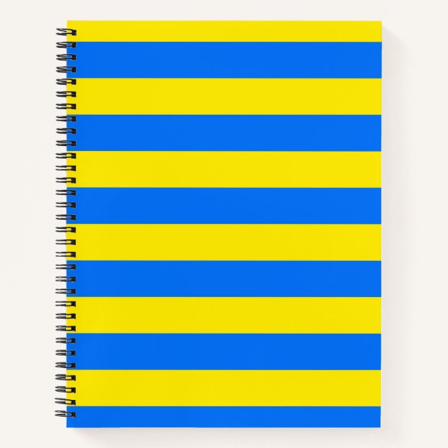 Carnet Bleu et jaune (Devant)