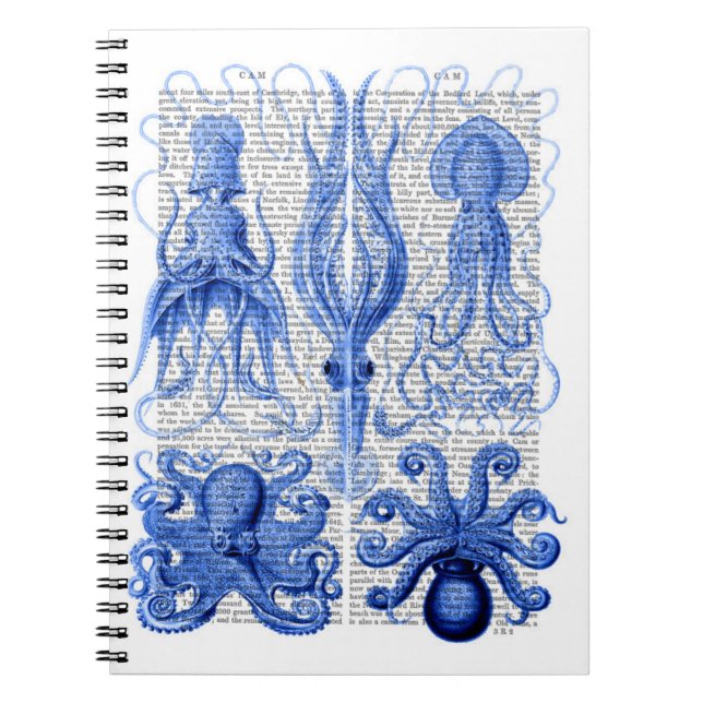 Carnet Bleu octopus et calmar (Devant)