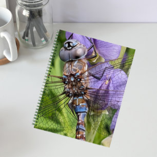 Carnet Bleu-Oyé Denton sur Flower