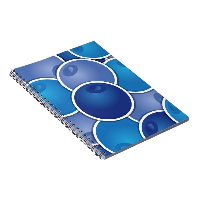 Carnet Bleuet funky (Côté Droit)
