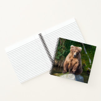 Carnet Bloc-notes 409 Beadnose