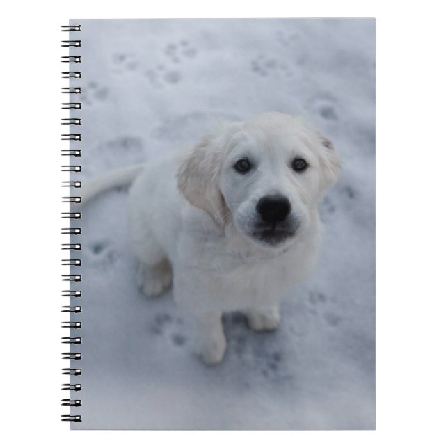 Carnet Bloc - notes de chiot de golden retriever (Devant)