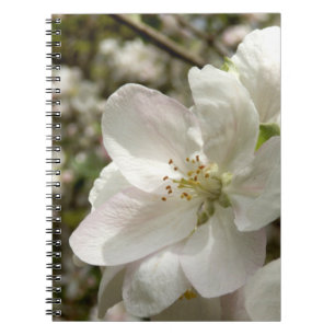 Carnet Bloc-notes photo Apple Blossom