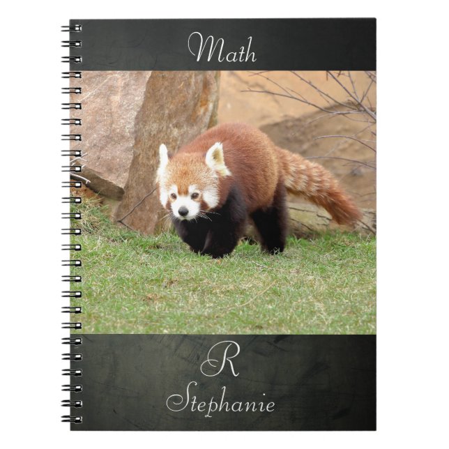 Carnet Bloc-notes Photo panda rouge, animaux 0436. (Devant)