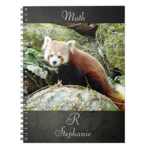 Carnet Bloc-notes Photo panda rouge, animaux 0437.