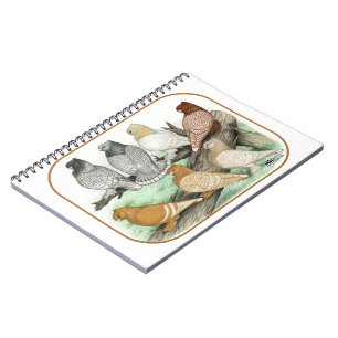 Carnet Blondinettes de pigeons de frill classique