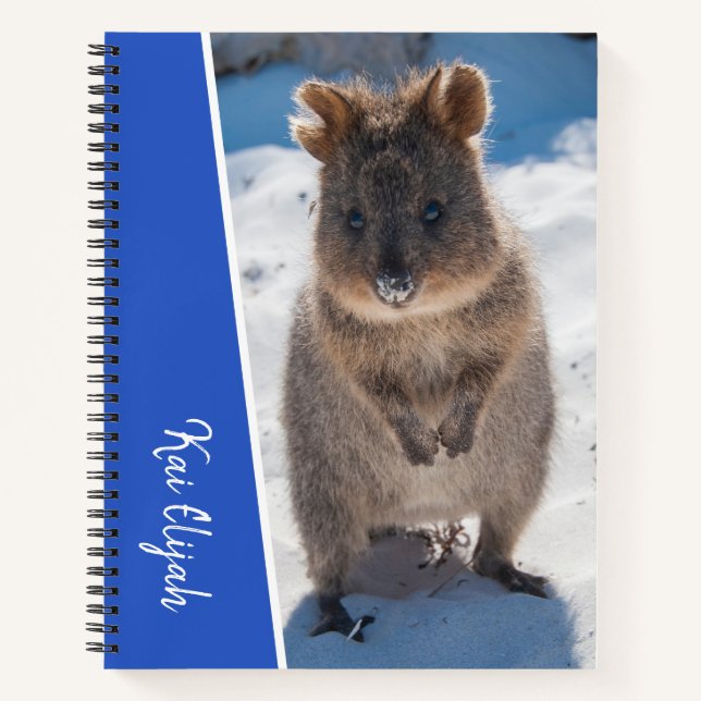 Carnet Blue Boys Nom personnalisé Quokka sur la plage (Devant)