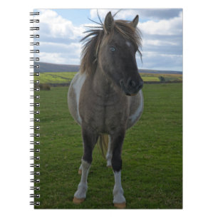 Carnet Blue Eyed Dartmoor Pony Jouer des cartes