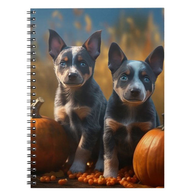 Carnet Blue Heeler Chiot Automne Citrouille de plaisir (Devant)