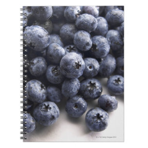 Carnet Blueberries 2
