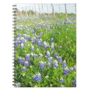 Carnet Bluebonnets côté route