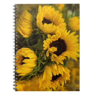 Carnet Blur Sunflower
