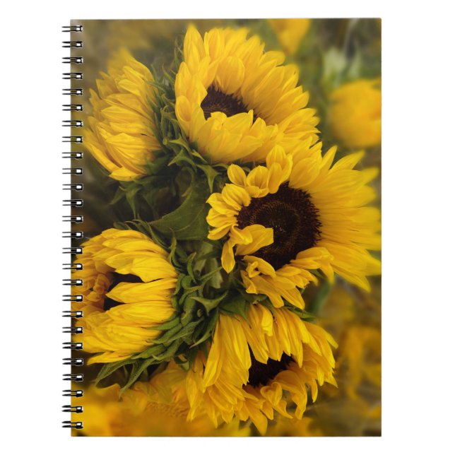 Carnet Blur Sunflower (Devant)