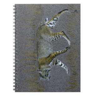 Carnet Bobcat