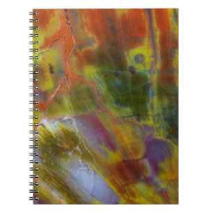 Carnet Bois pétrifié arc-en-ciel