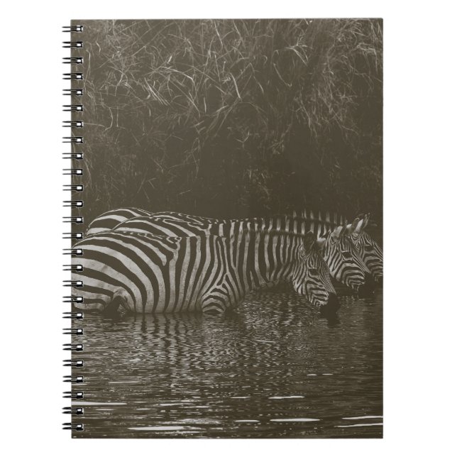 CARNET BOISSON FAMILIALE ZEBRA (Devant)