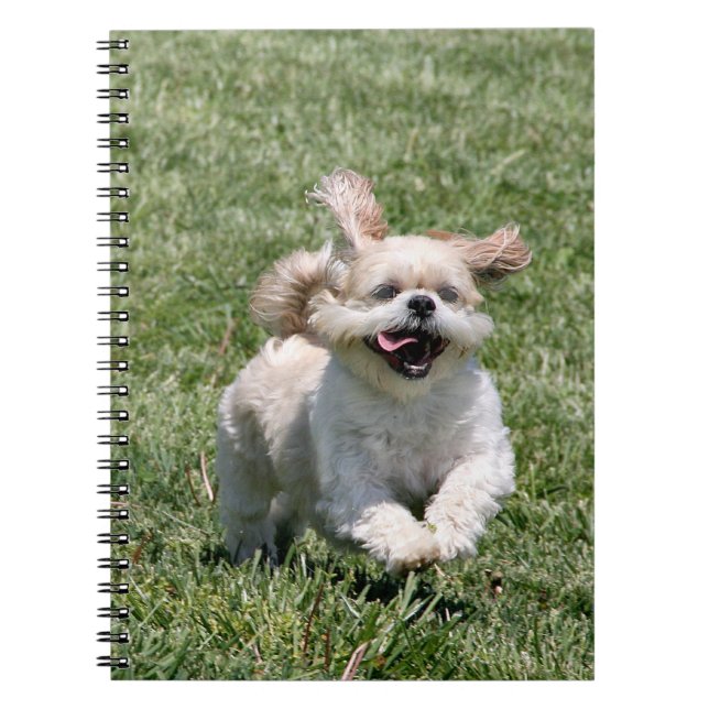 Carnet Bonne exécution Shih Tzu (Devant)