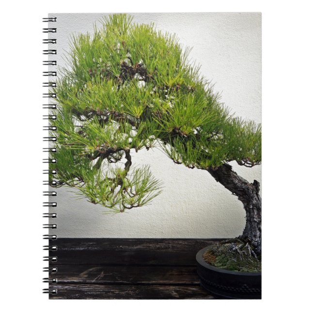 Carnet Bonsaïs japonais de pin noir (Devant)