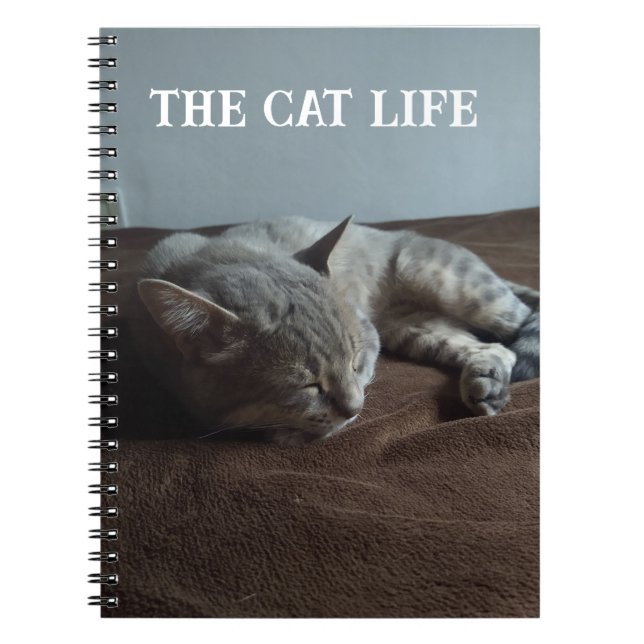 Carnet Book the Cat life (Devant)