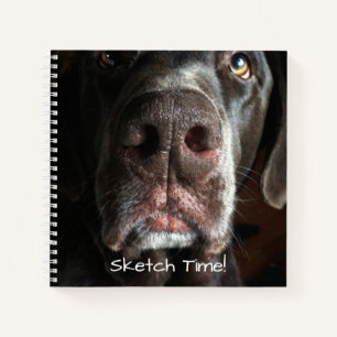 Carnet Boop My Nez Labrador Retriever Gros plan Photo