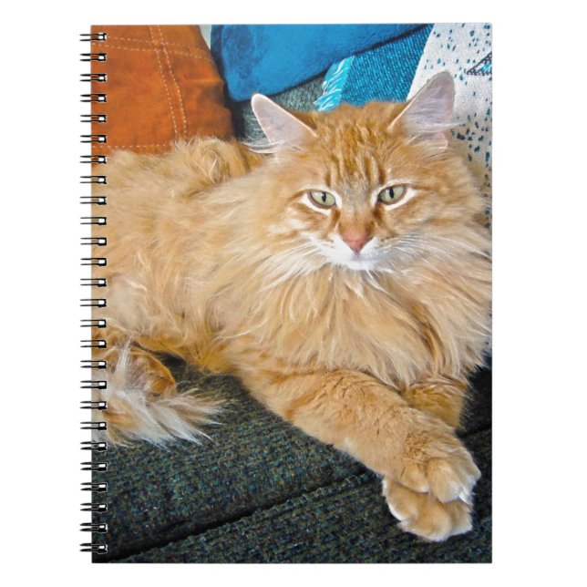 Carnet Boppy (Devant)