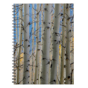 Carnet Bosquets de trembles Montagnes Rocheuses du Colo