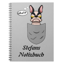 Boston Terrier dans le sac à poitrine, drôle