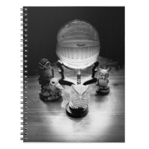 Carnet Boule de cristal et Chouettes ornementales