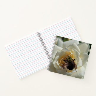 Carnet Bourdon et Rose Blanche