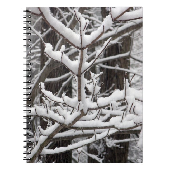 Carnet Branches couvertes de neige (Devant)