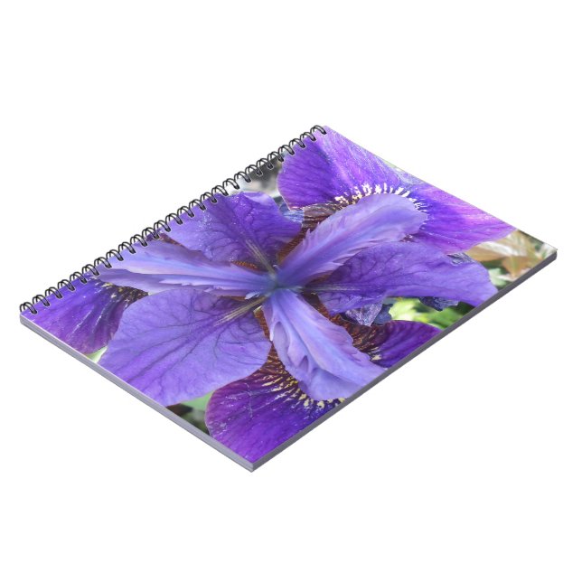 Carnet Brandeis (Côté gauche)