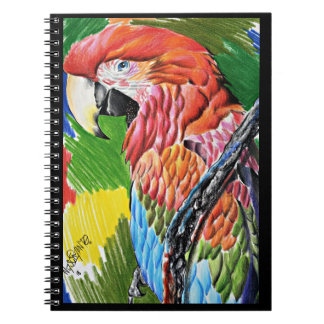 Carnet Brazilian Scarlat Macaw - Hand Drawn Wildlife Art