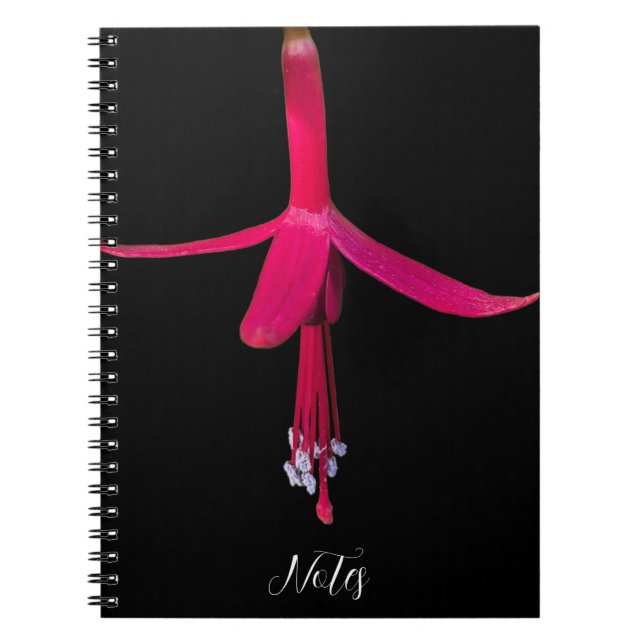 Carnet Bright Pink Fuchsia Flower on Black (Devant)