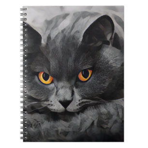 Carnet British Shorthair Kitty