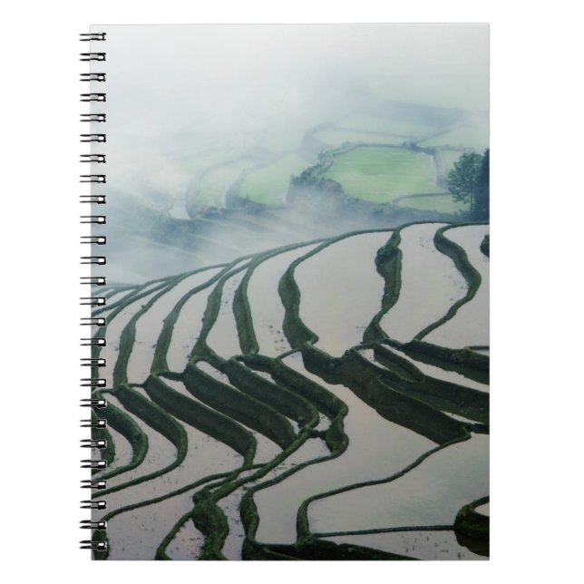 Carnet Brouillard de matin au-dessus des gisements de riz (Devant)