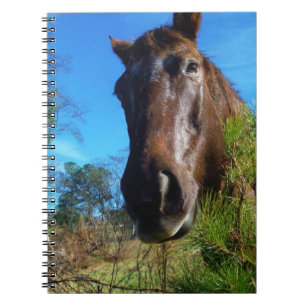 Carnet Brown et crème Couleur Cheval bleu ciel