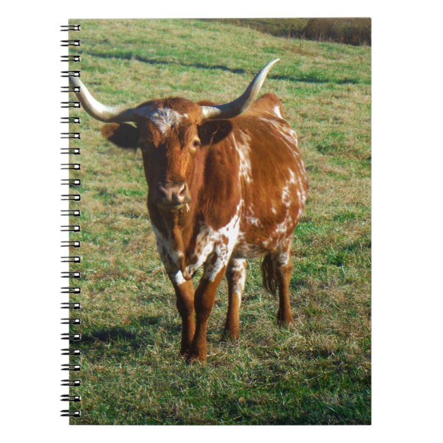 Carnet Brown et Longhorn blanc Taureau (Devant)