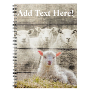 Carnet Brûlure d'agneau de bébé à mouton rustique