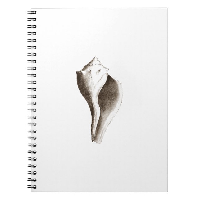 Carnet Buccin Manche (schéma) (Devant)