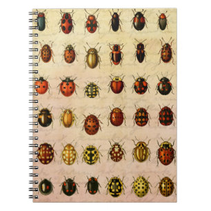 Carnet Bug d'insectes coccinelle de coccinelle