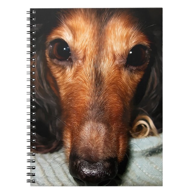 Carnet Bugs Snuggle MacKenzie (Devant)